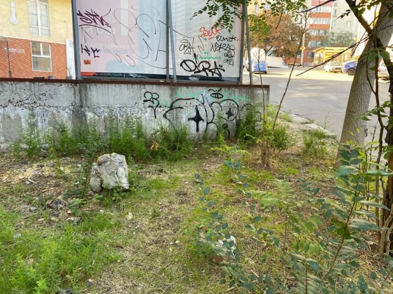 photo_2024-09-17 15.32.55